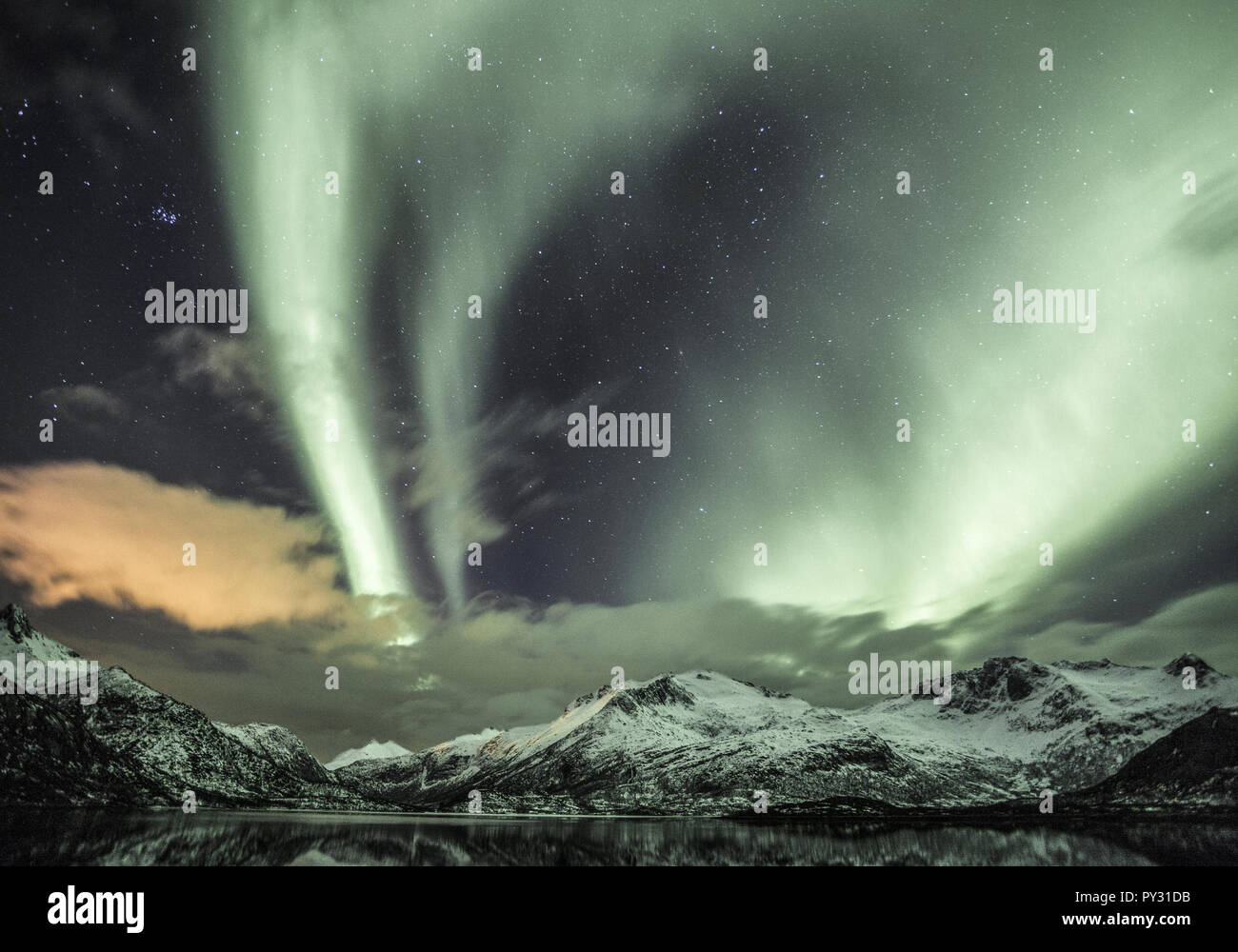 Nordlichter auf den Lofoten, Norwegen Foto Stock