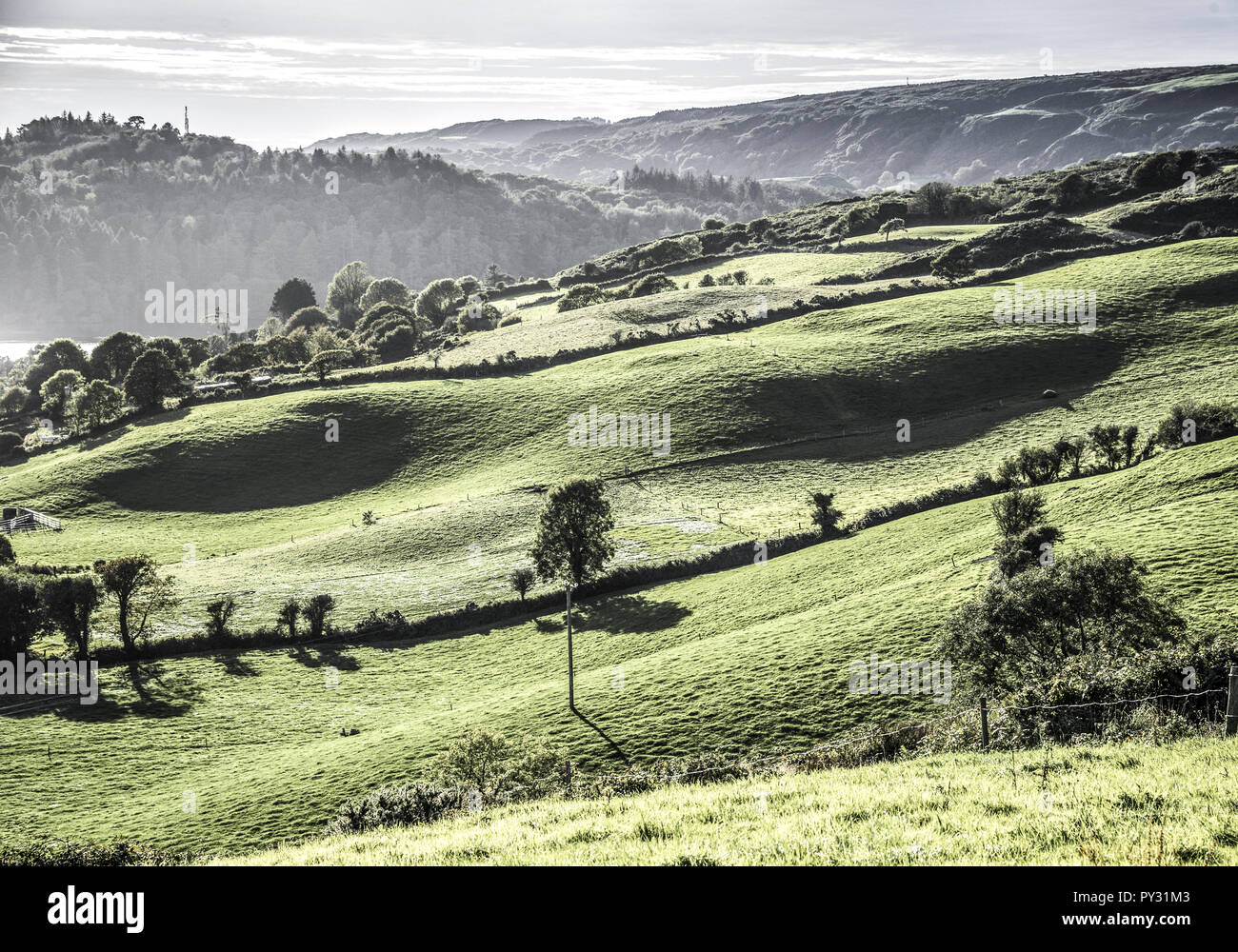 Gruene Landschaft in Irlanda, nella contea di Wexford Foto Stock