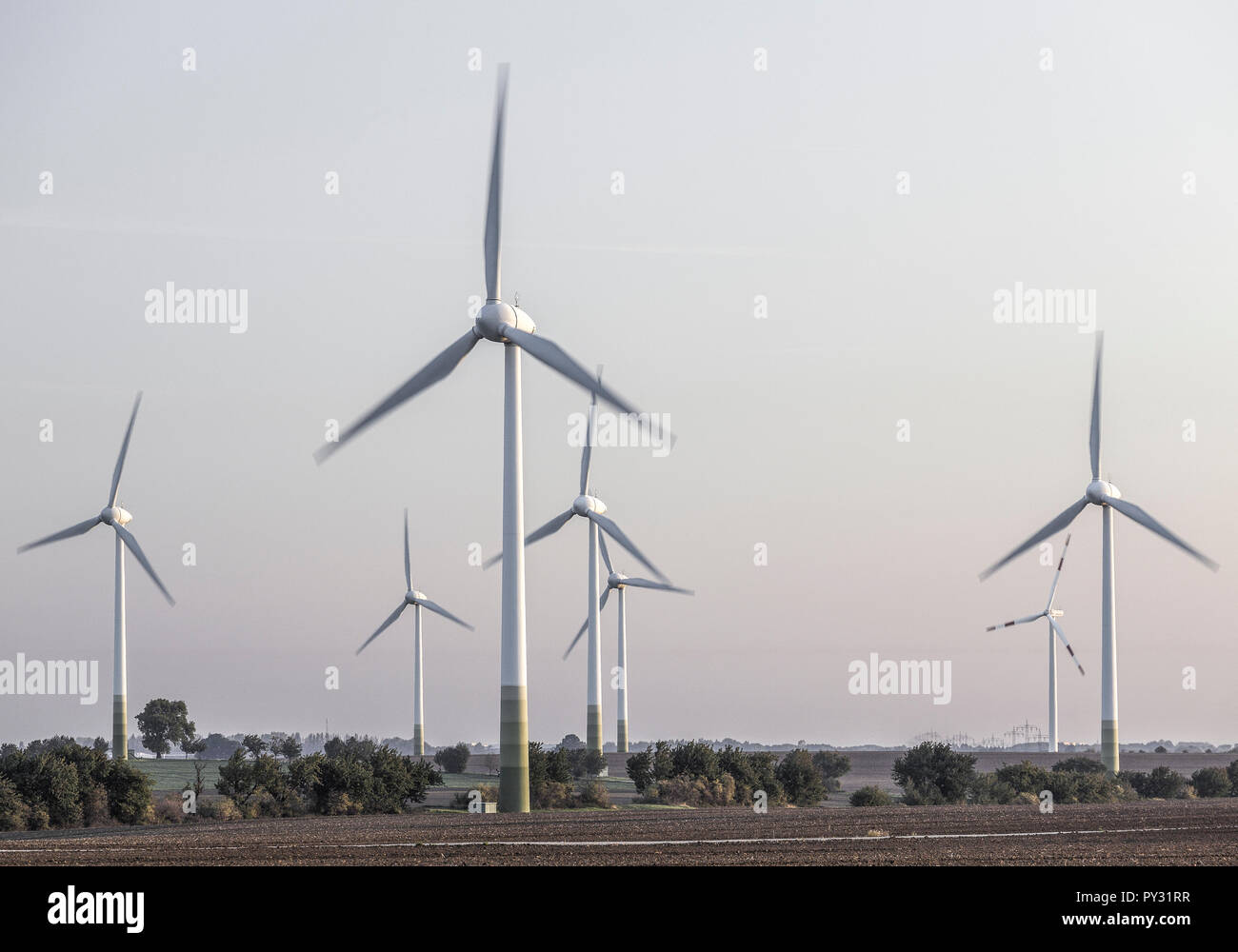 Windkraftpark Foto Stock