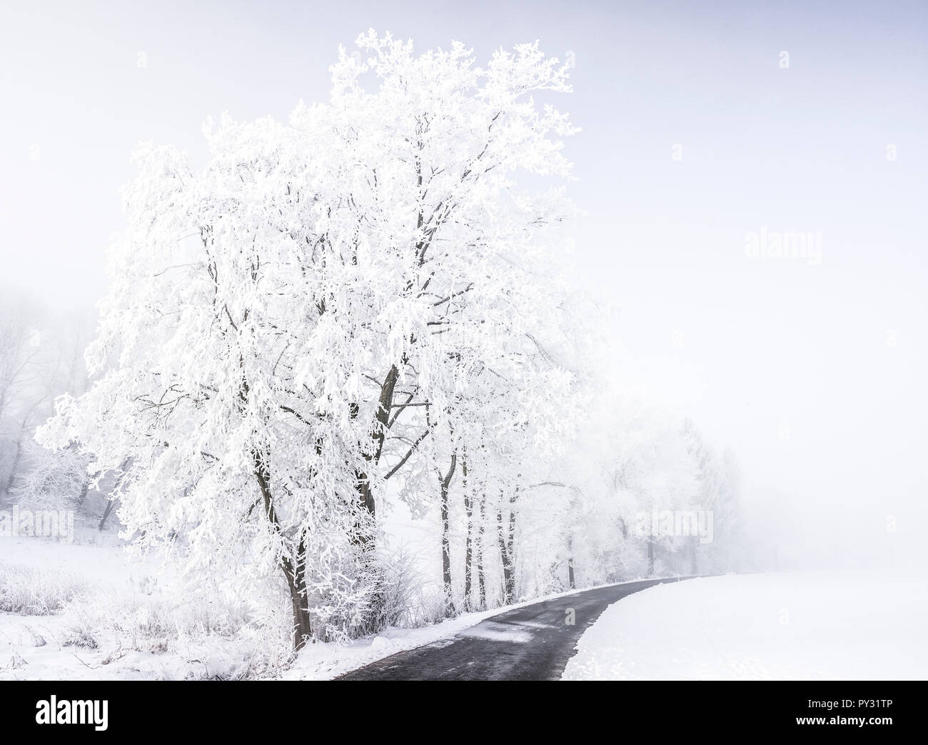 Winterlandschaft mit Schnee, Raureif und Nebel, Bayern, BRD Foto Stock