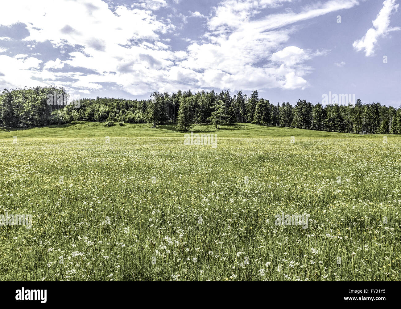 Fruehlingslandschaft in Oesterreich Foto Stock