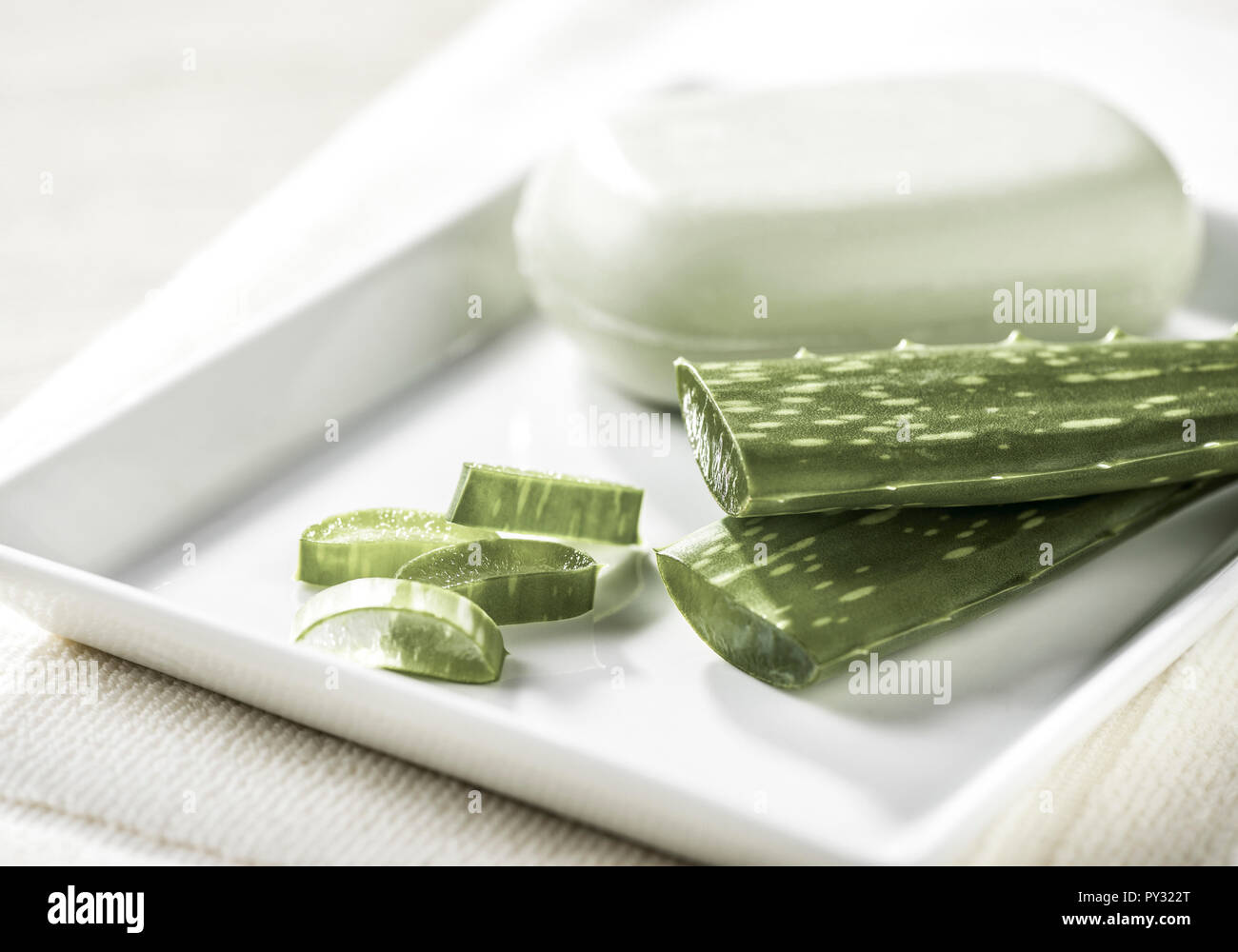 Kosmetik, Aloe Vera mit Seife Foto Stock