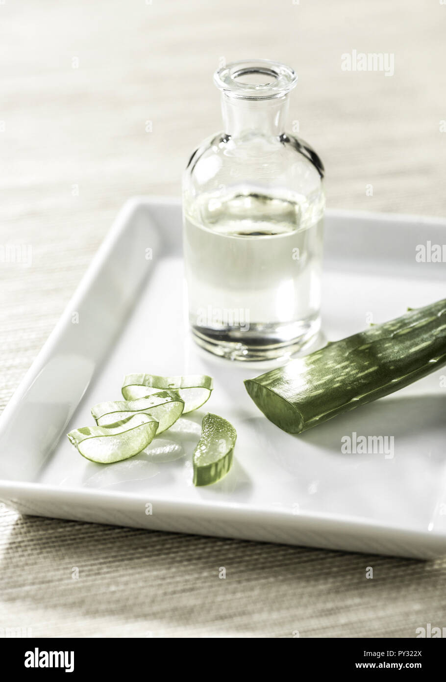 Kosmetik, Aloe Vera mit Aloe Vera Oel Foto Stock