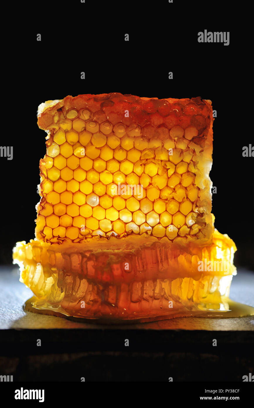 Dolce nido su sfondo nero Foto Stock