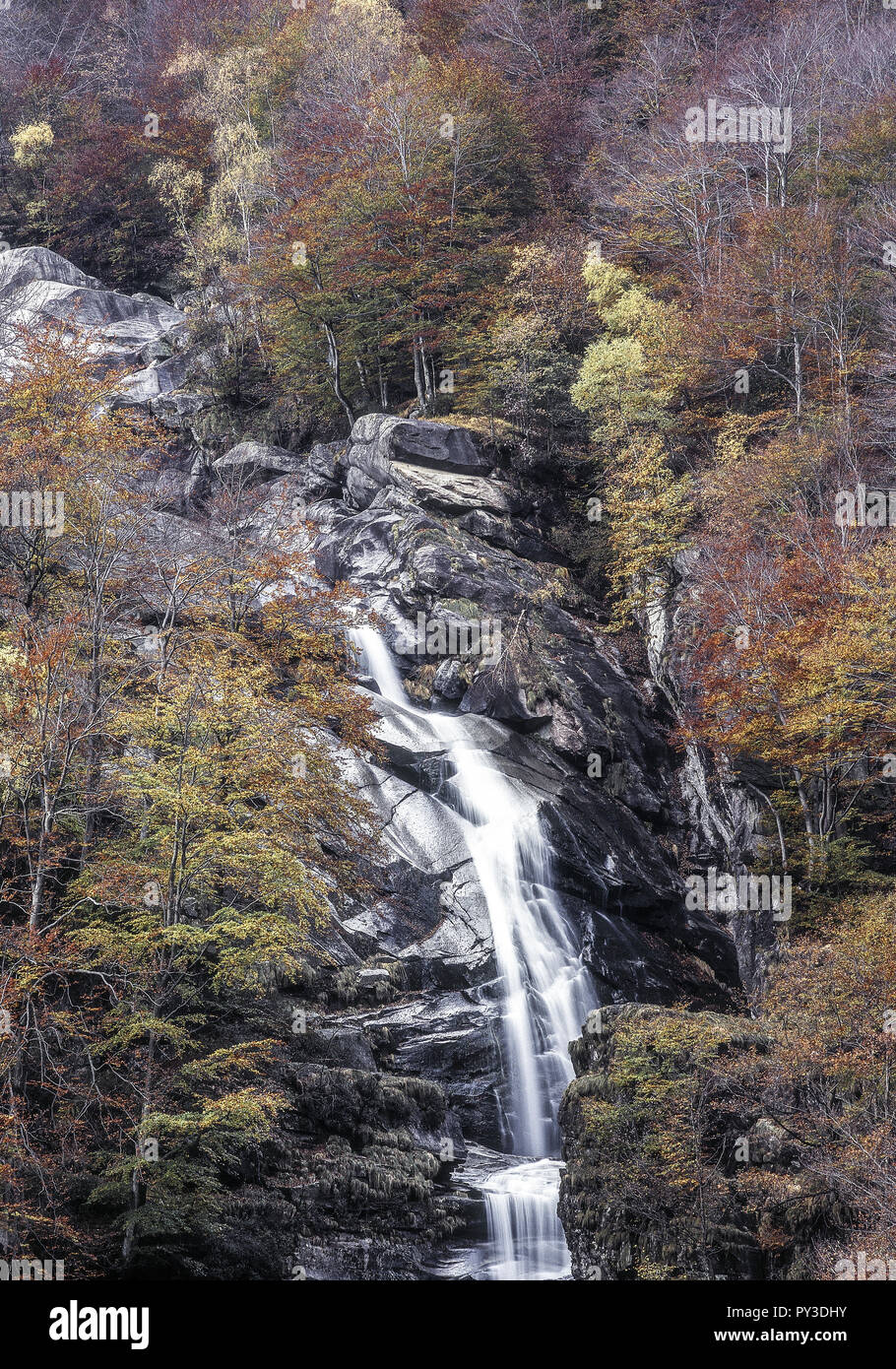Wasserfall in herbstlichem Laubwald, Tessin, Schweiz Foto Stock