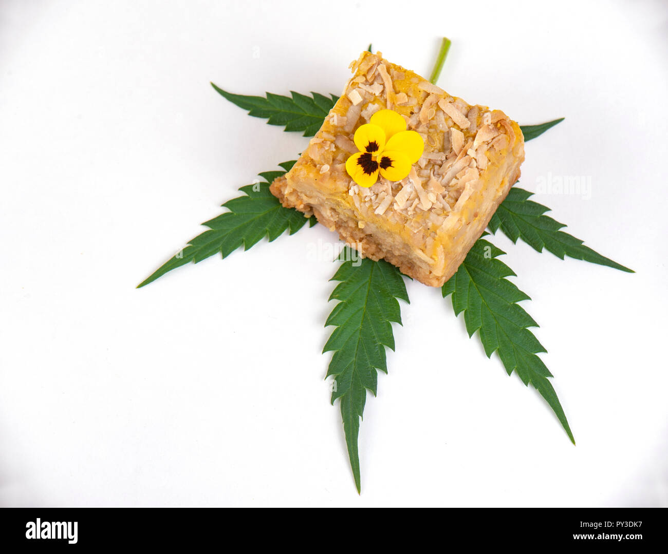 Dedtail della Cannabis infusa blondies isolati su sfondo bianco- marijuana medica concetto commestibili Foto Stock