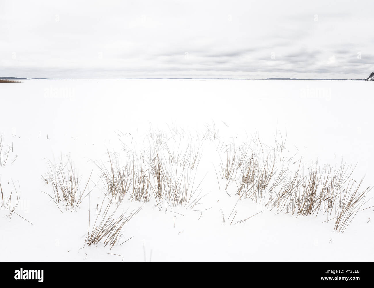 Kueste mit Duenengras im inverno Foto Stock