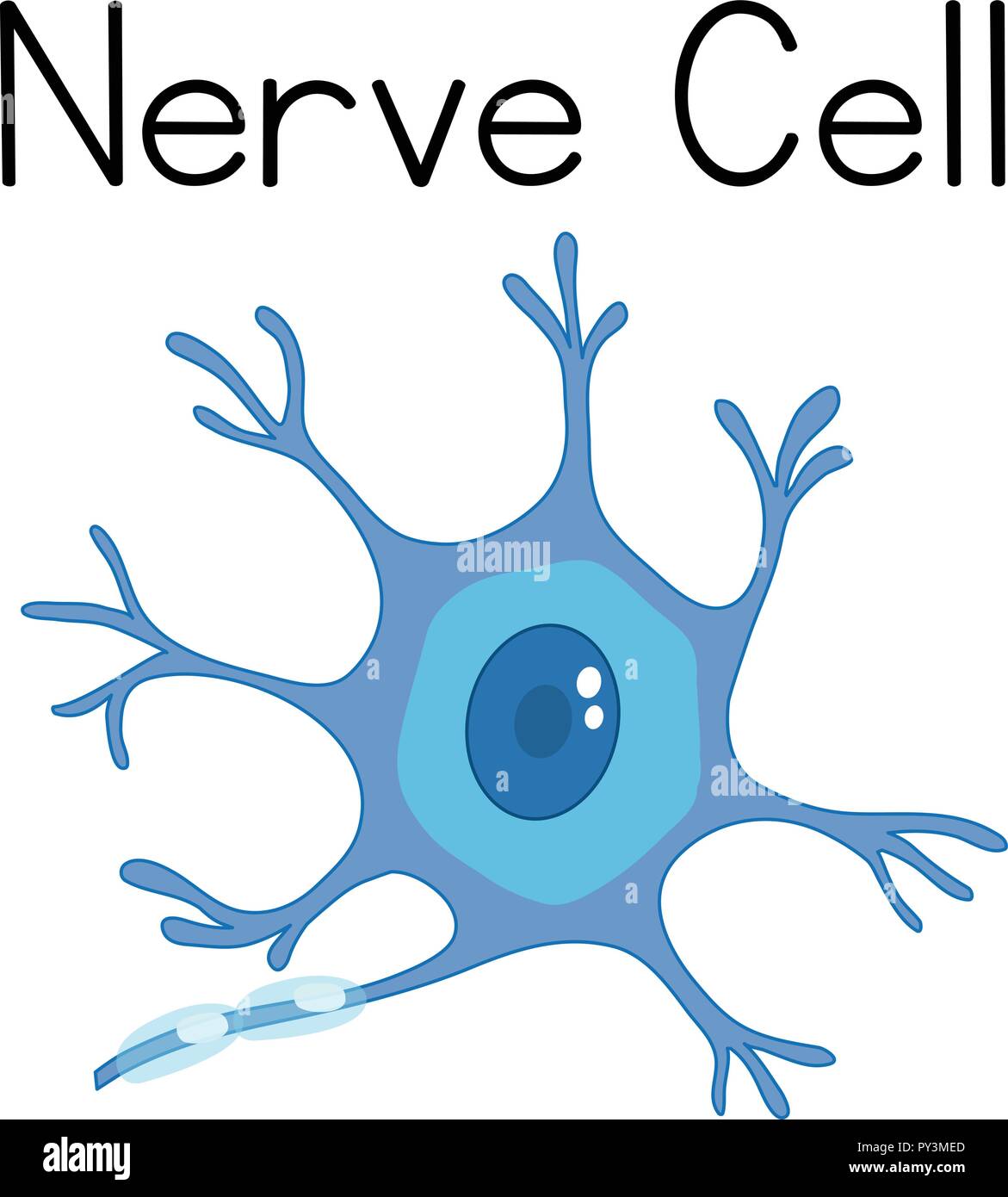 Un vettore di cellula nervosa illustrazione Illustrazione Vettoriale