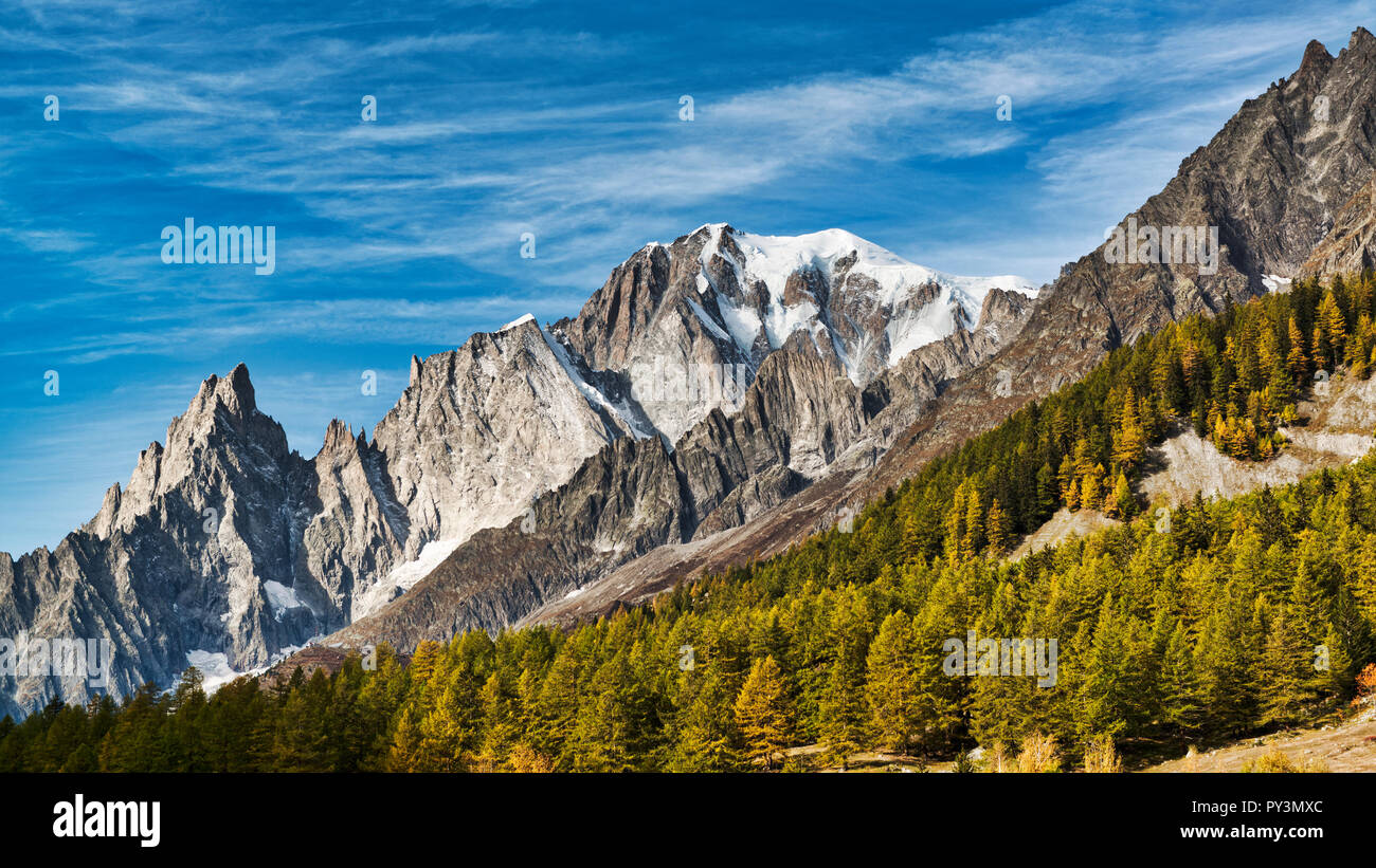 Mont Blanc illuminata dal sole di mattina con bosco di larici in primo piano e il cielo blu con alcune nuvole in background Foto Stock