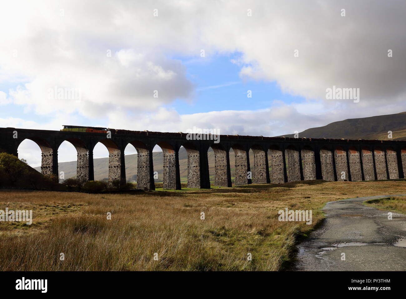 Viadotto Ribblehead con treno merci. Foto Stock