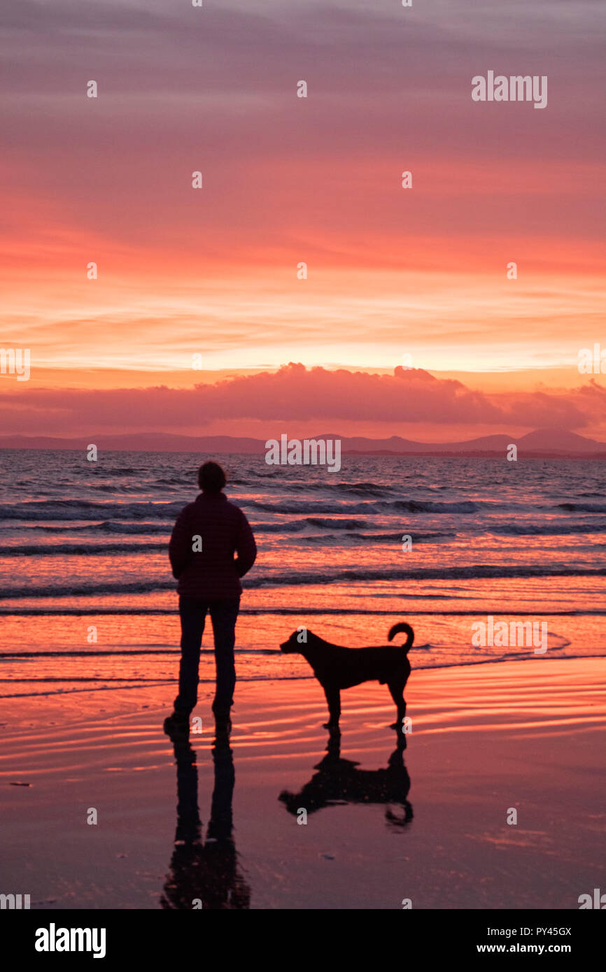 Passeggiate con il cane al tramonto del Llyn penisola da Black Rock sands, Snowdonia, il Galles del Nord Foto Stock