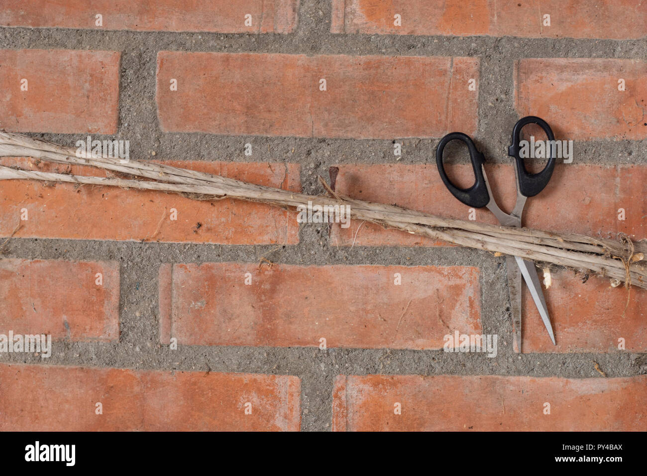 Paio di forbici nero legato con una corda su un brickwall rosso. Sfondo con copyspace, ispirato da giardinaggio. Foto Stock