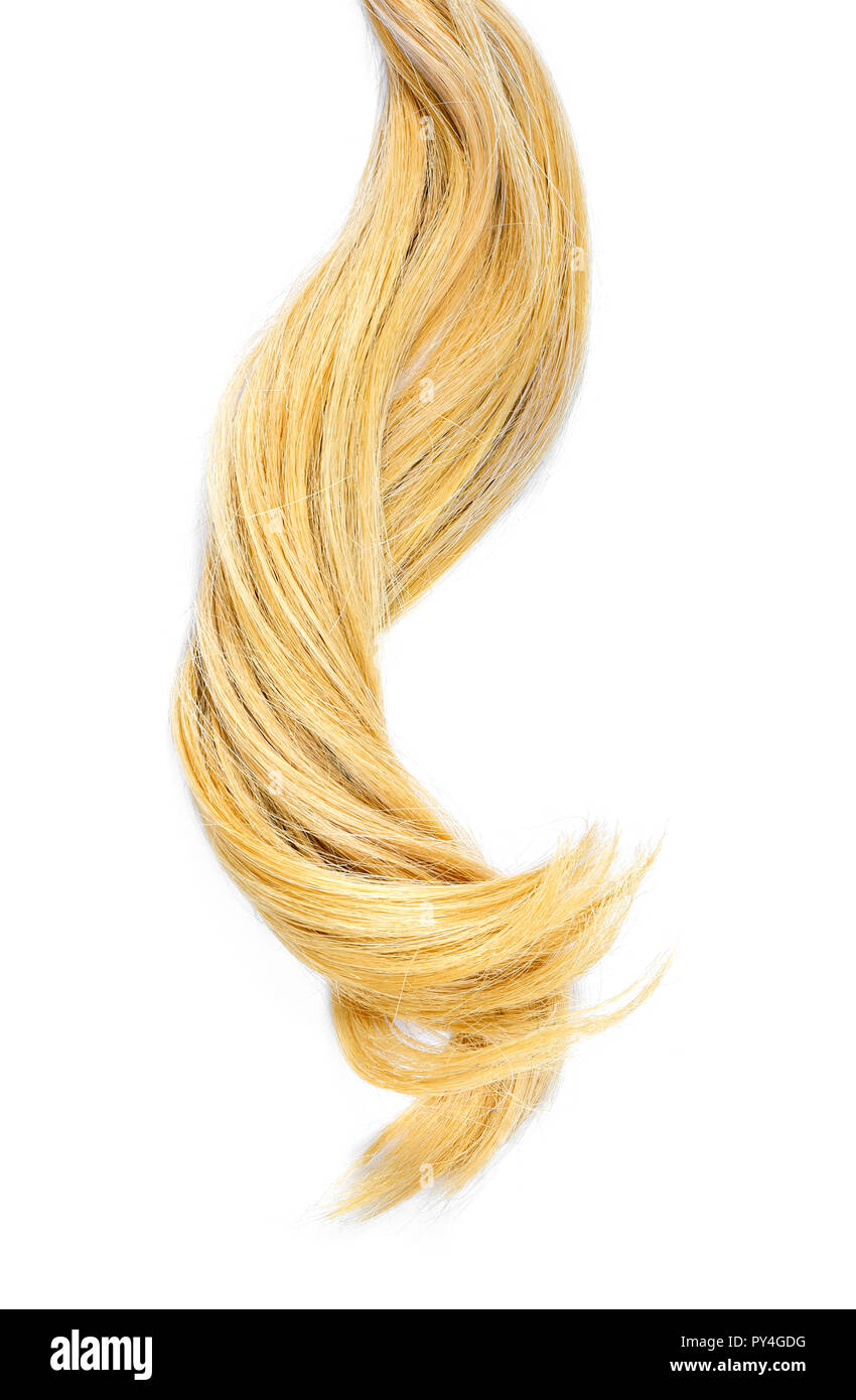 Bellissimi capelli biondi, isolato su sfondo bianco. Lunghi capelli biondi di coda e capelli sani, elemento di design o taglio di capelli tema. Foto Stock