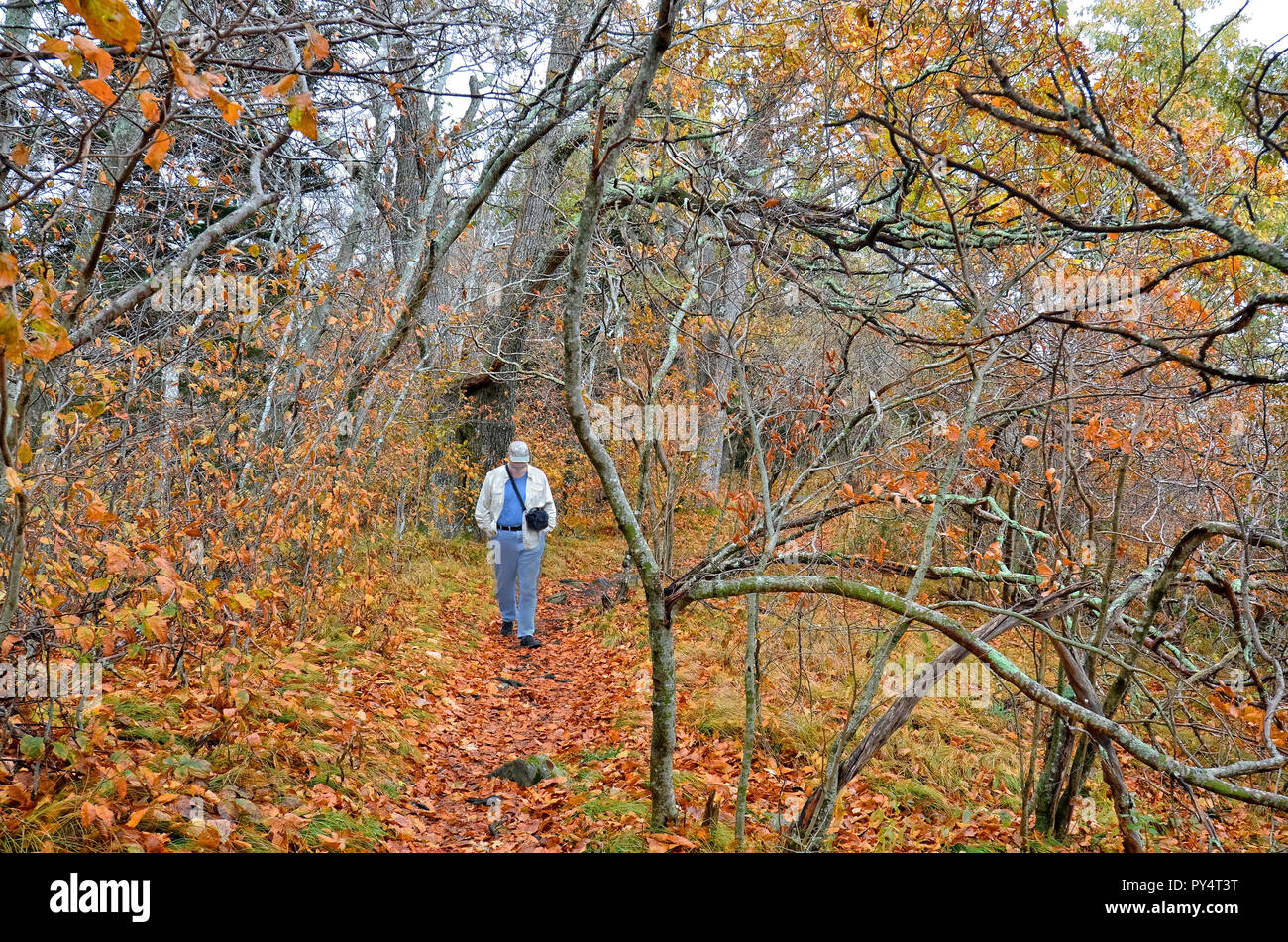 L'uomo con una telecamera su un sentiero escursionistico in autunno Foto Stock