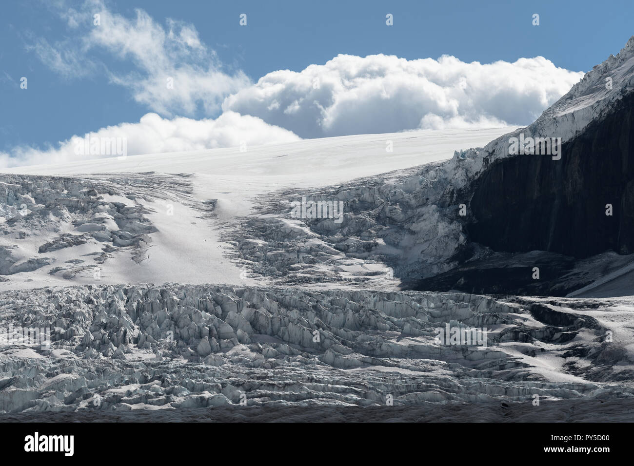 Chiusura del Ghiacciaio Athabasca in Columbia Icefields Foto Stock