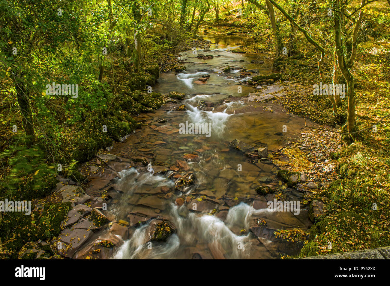 Il fiume Afon Tarell vicino a Libanus nel Beacons centrale di Brecon, Galles del sud Foto Stock