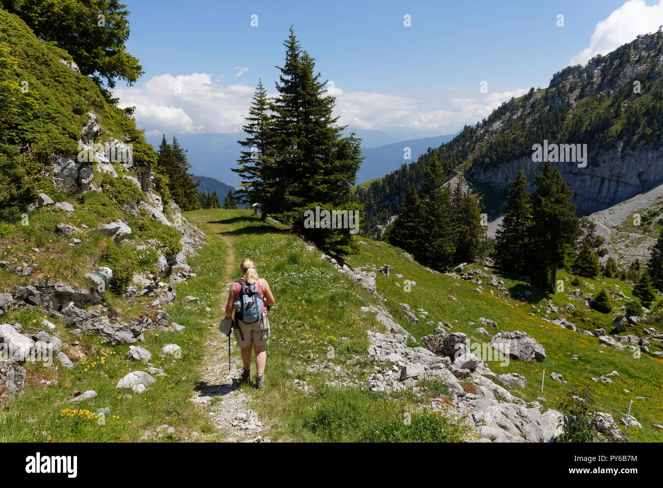 Il camminatore femmina su uno dei sentieri intorno alla parte superiore della seggiovia La stazione di Sambuy area di montagna nei pressi di Faverges Francia Foto Stock