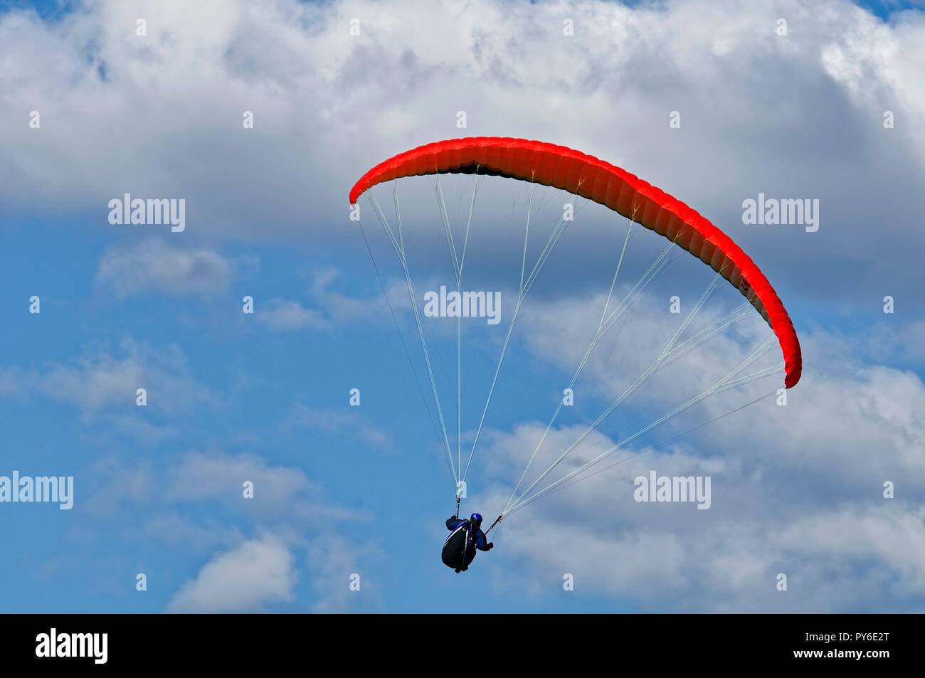 Parapendio sul monte Tegelberg nelle Alpi Ammergau, vicino Schwangau, Ostallgäu, Allgäu, Baviera, Germania Foto Stock
