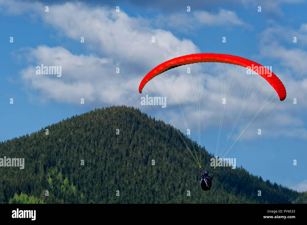 Parapendio sul monte Tegelberg nelle Alpi Ammergau, vicino Schwangau, Ostallgäu, Allgäu, Baviera, Germania Foto Stock