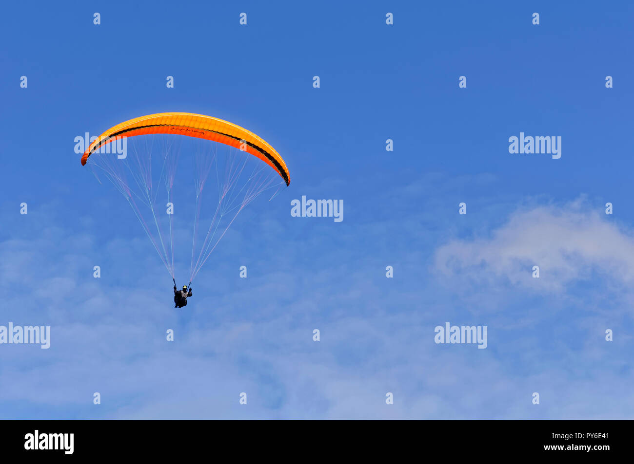 Parapendio sul monte Tegelberg nelle Alpi Ammergau, vicino Schwangau, Ostallgäu, Allgäu, Baviera, Germania Foto Stock
