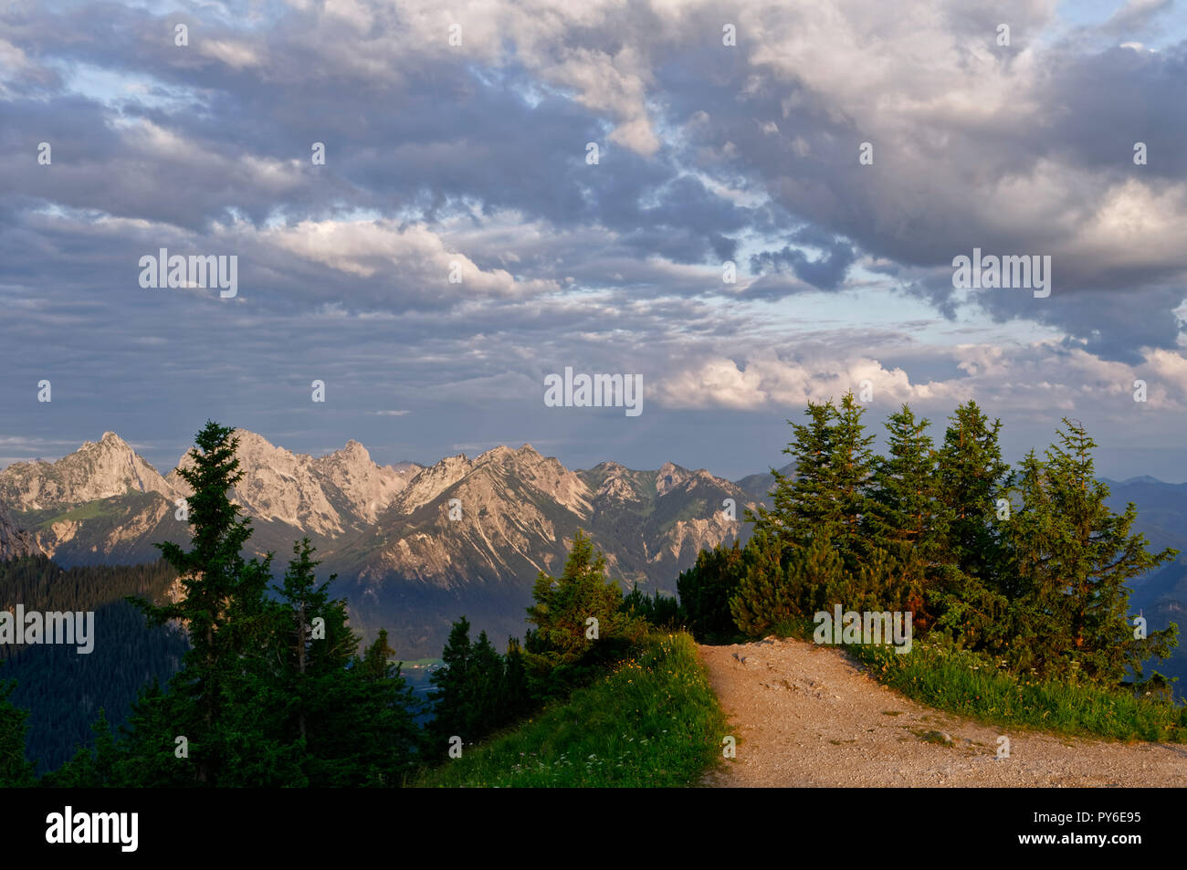 Sentiero sul Monte Tegelberg, sullo sfondo il Allgäuer Alpen (Alpi Allgäu), vicino Schwangau, quartiere Ostallgäu, Baviera, Germania Foto Stock