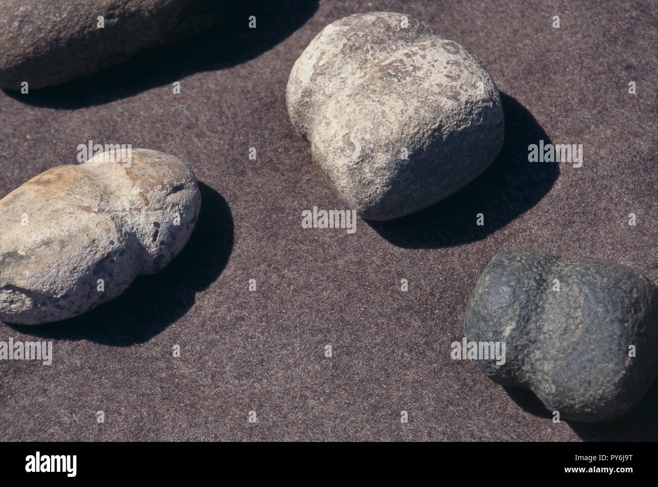 Nativi americani gli strumenti in pietra, storia vivente display a Lewis & Clark's Fort Mandan, North Dakota. Fotografia Foto Stock