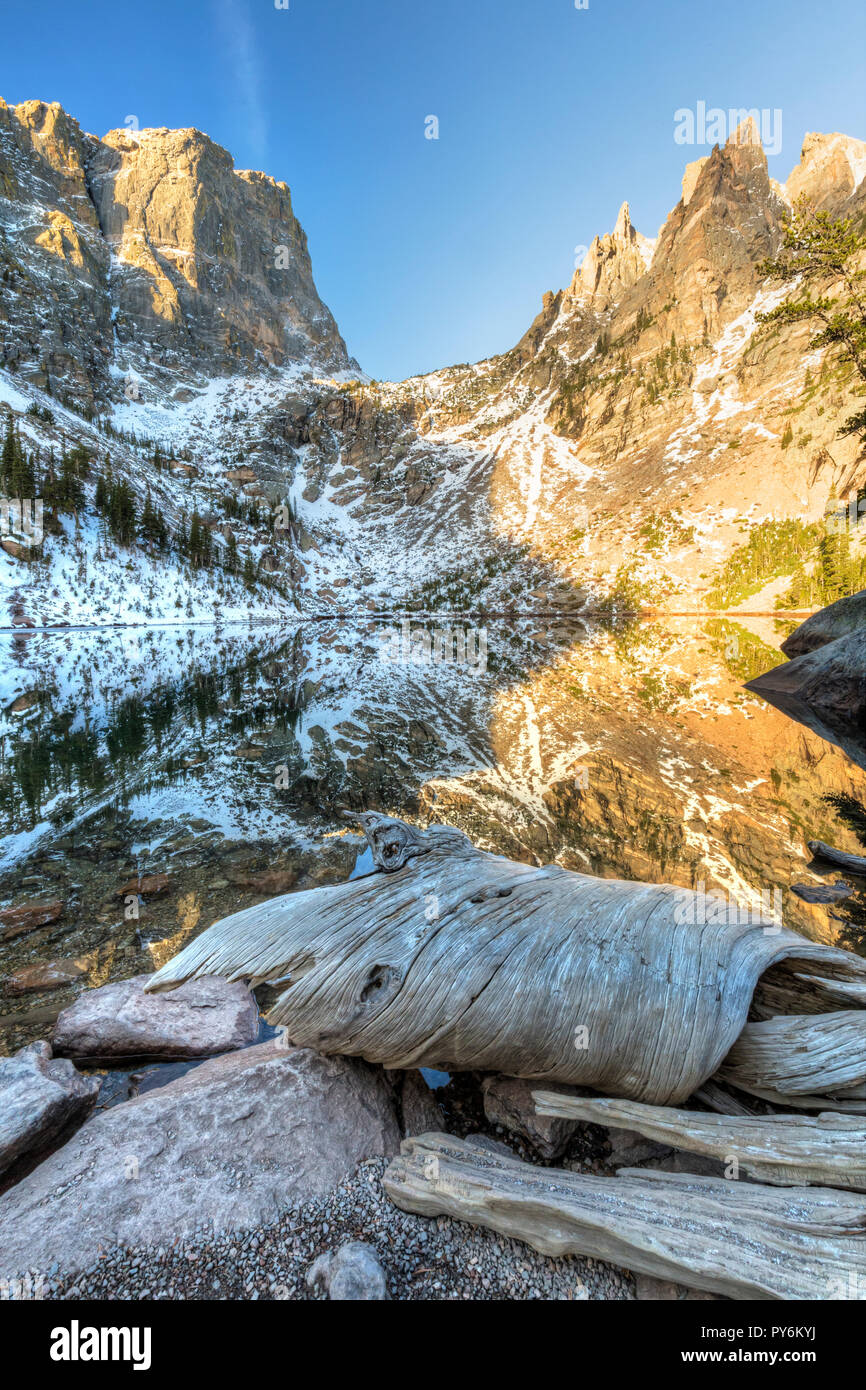 Interessante driftwood sulle rive, con montagne specchiato in Lago Smeraldo nel Parco Nazionale delle Montagne Rocciose. Foto Stock