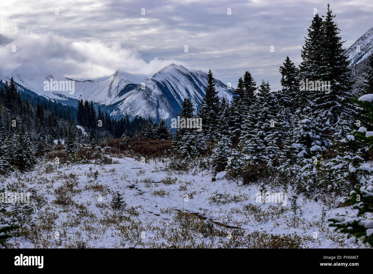 La Ptarmigan Cirque nella caduta dopo una nevicata a sorpresa ha colpito le montagne Foto Stock