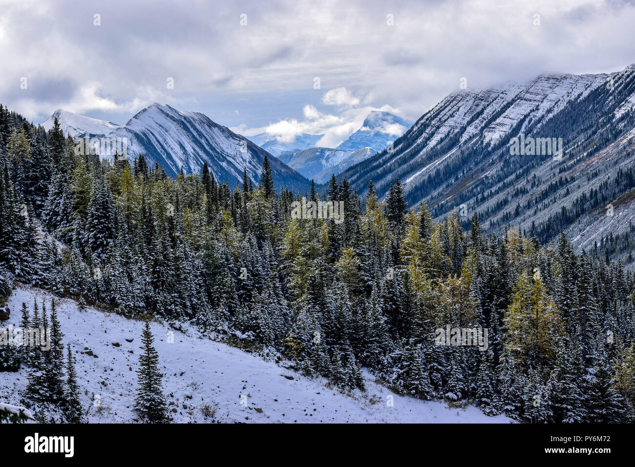 La Ptarmigan Cirque nella caduta dopo una nevicata a sorpresa ha colpito le montagne Foto Stock