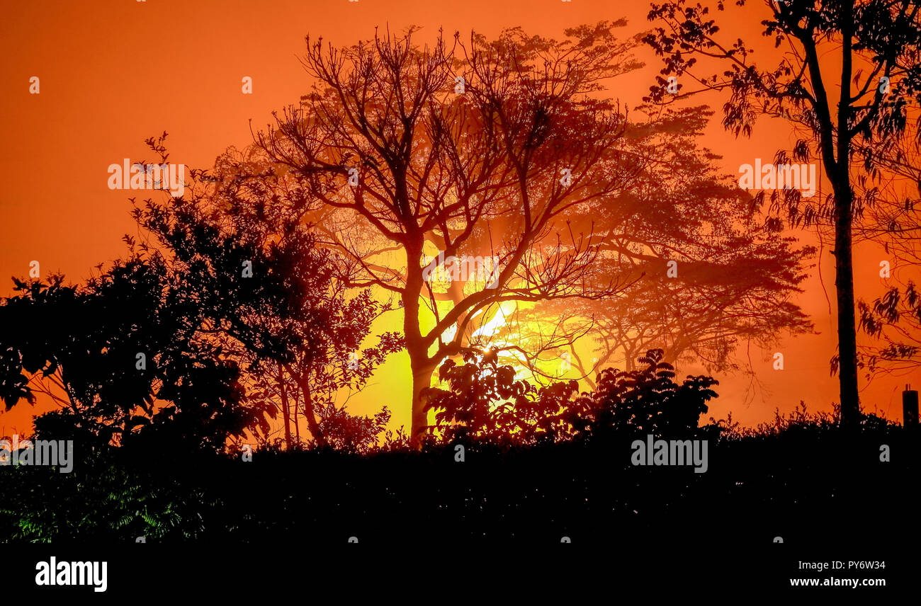 Tramonto africano Foto Stock