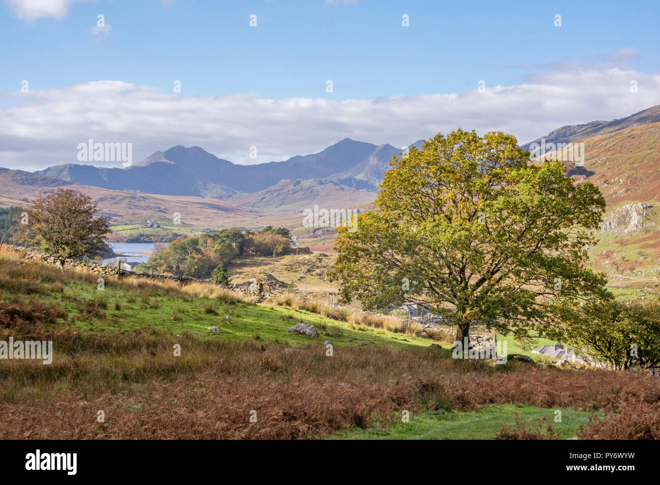 In autunno e la Snowdon gamma a ferro di cavallo dal di sopra Capel Curig, Snowdonia National Park, North Wales, Regno Unito Foto Stock