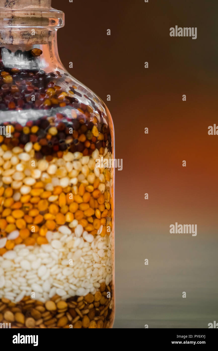 Bottiglia di semi Foto Stock