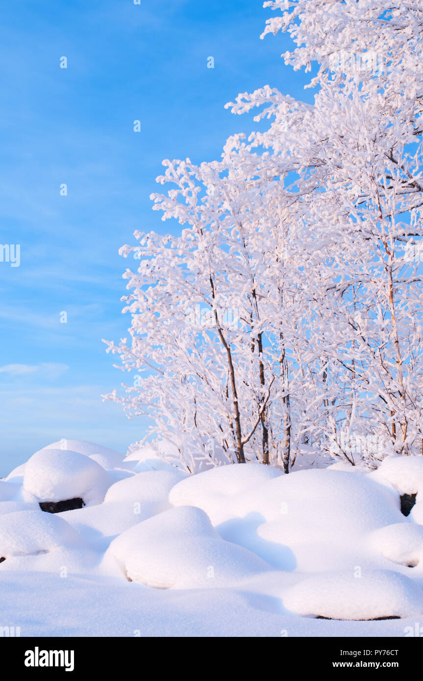 Inverno vista del lago. Appena sceso neve che ricoprono le pietre e gli alberi. Foto Stock