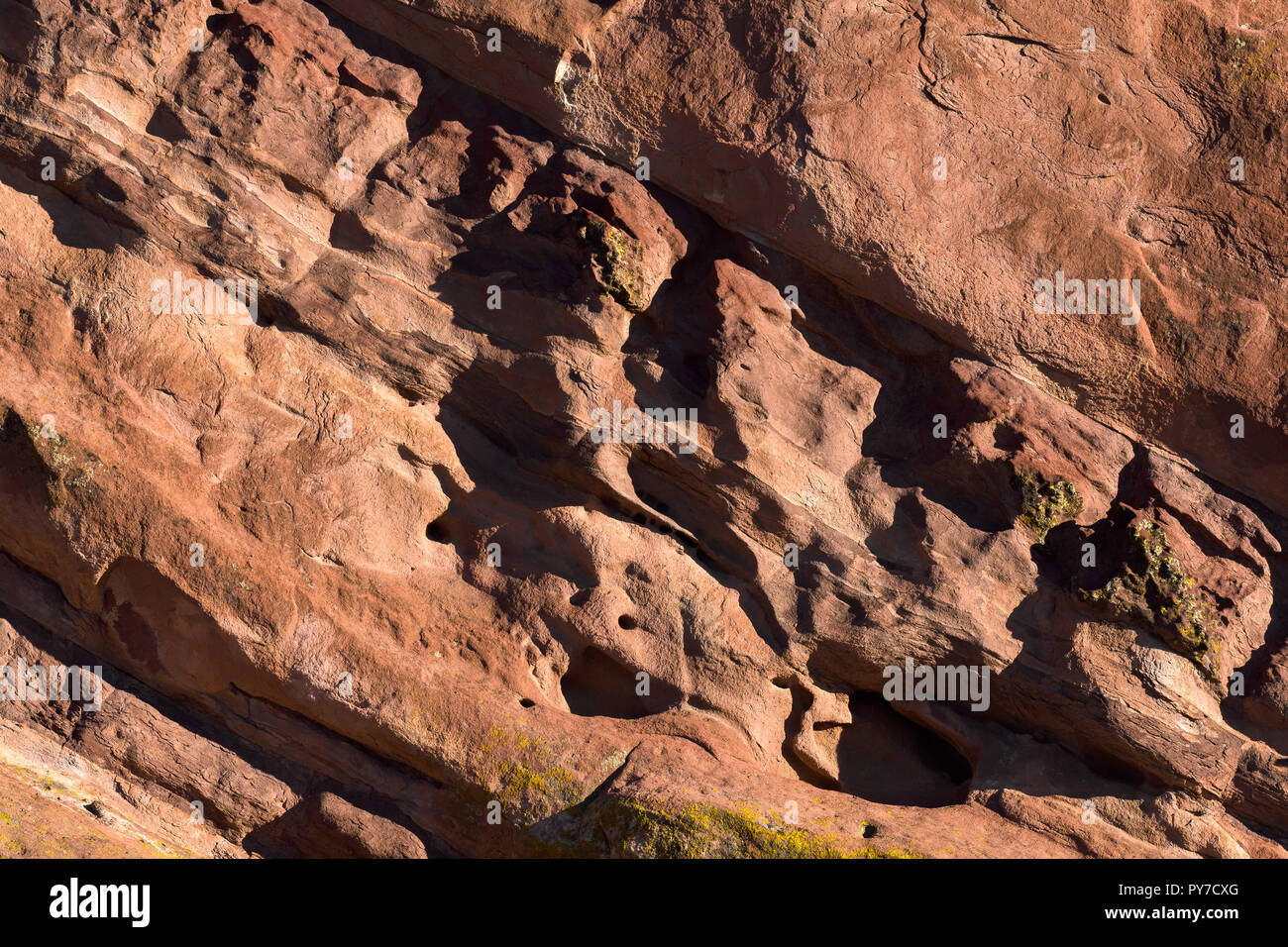 Il Red Rock vento texture usurati all'alba Foto Stock