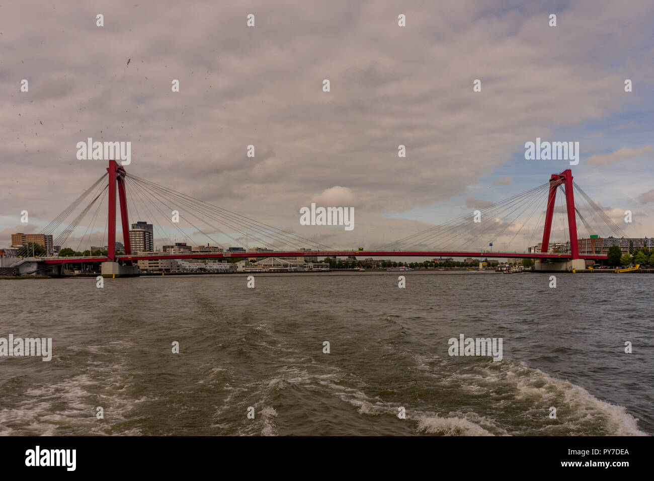 Paesi Bassi, Rotterdam, Willemsbrug è un ponte accanto al Erasmusbrug nel centro di Rotterdam, spanning la Nieuwe Maas Foto Stock