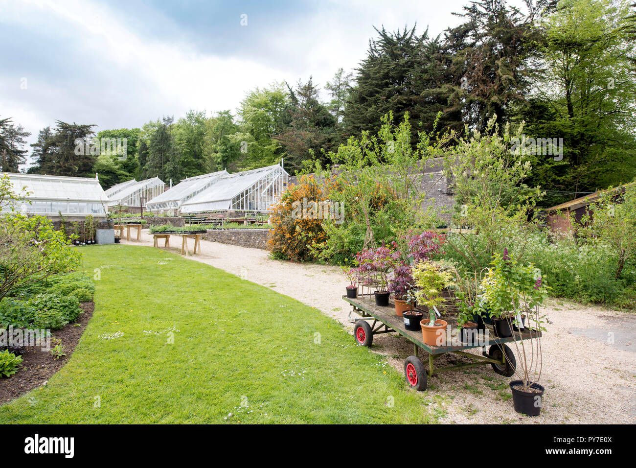 Vivaio e cafe all'Miserden Estate in GLOUCESTERSHIRE REGNO UNITO Foto Stock