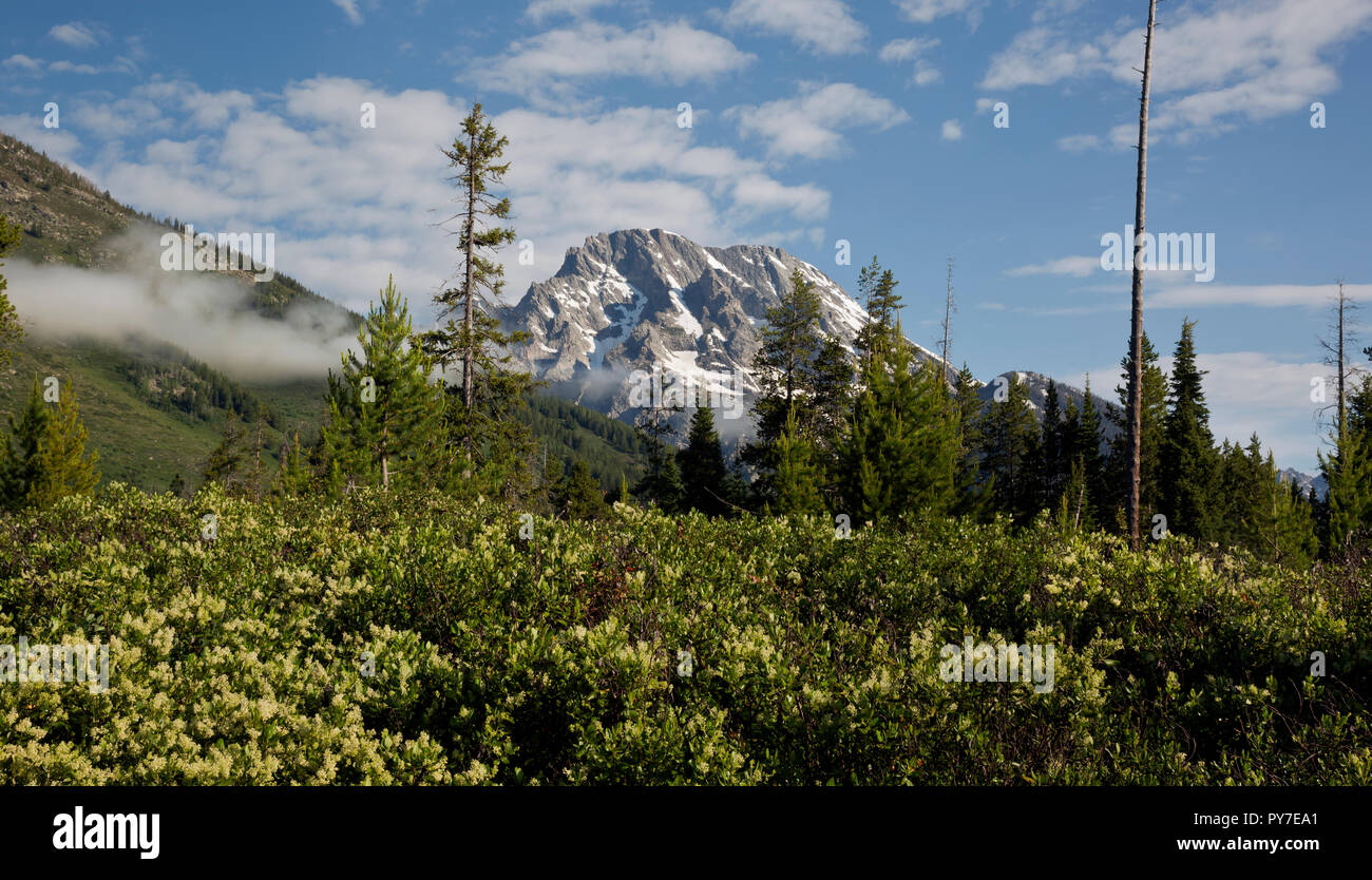 WY02510-00...WYOMING - Vista dal pennello Canyon Trail nel Parco Nazionale di Grand Teton. Foto Stock