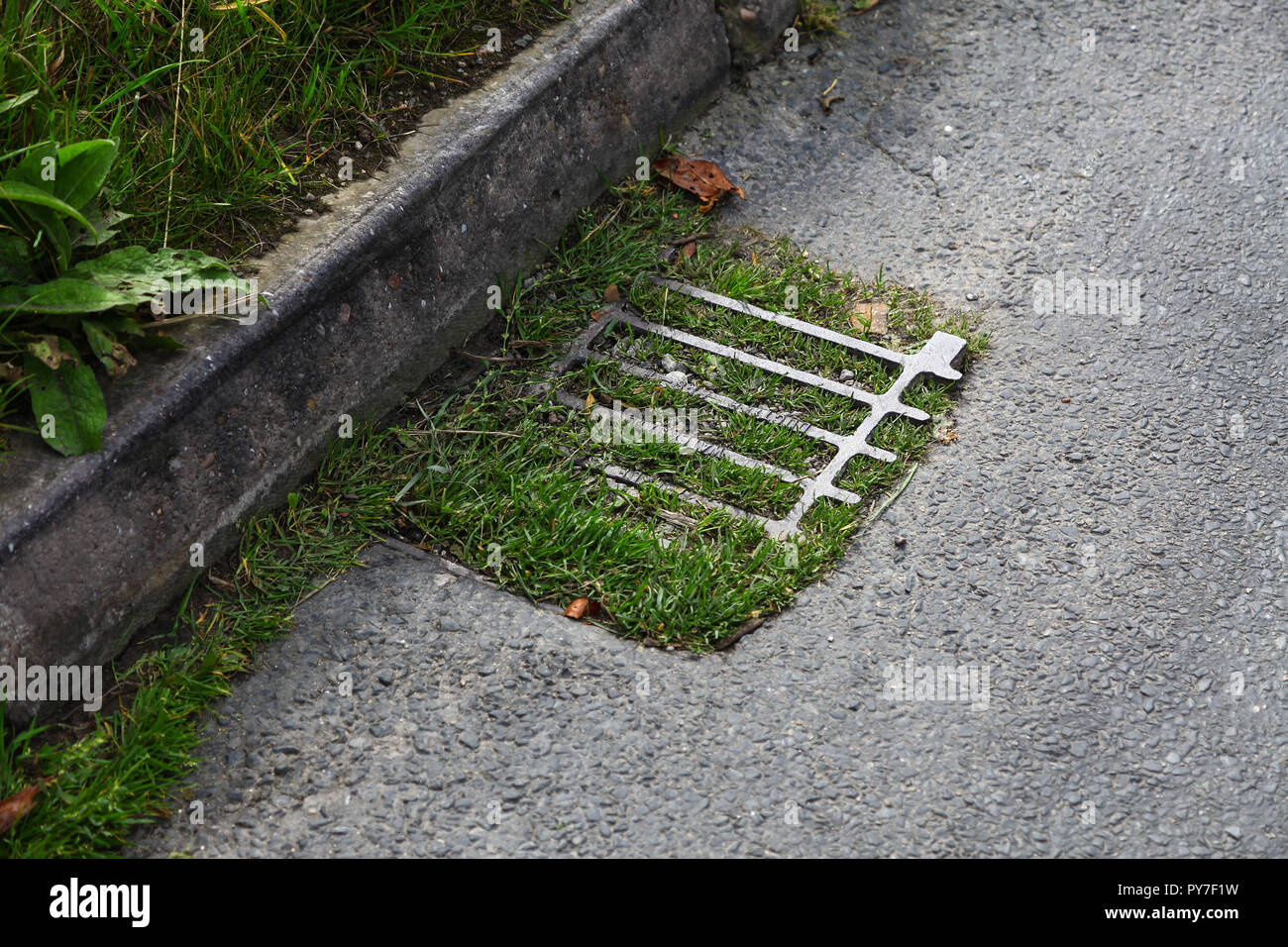 Una buca o una gola in una strada, bloccata e ricoperta di erbacce, Inghilterra, Regno Unito Foto Stock