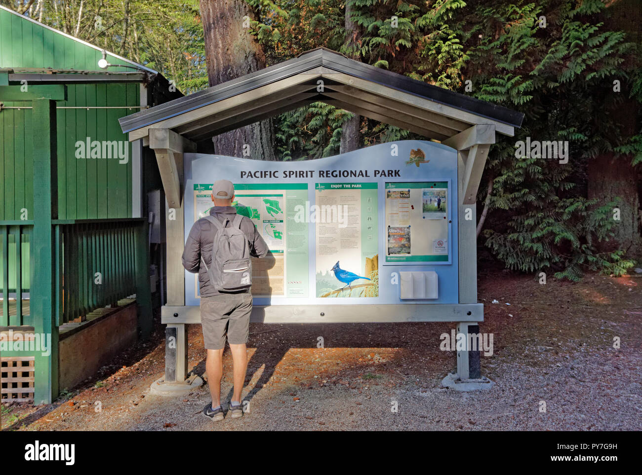 Uomo che guarda la mappa di spirito pacifico parco regionale e preservare la natura presso il centro informativo del Parco, Vancouver, BC, Canada Foto Stock