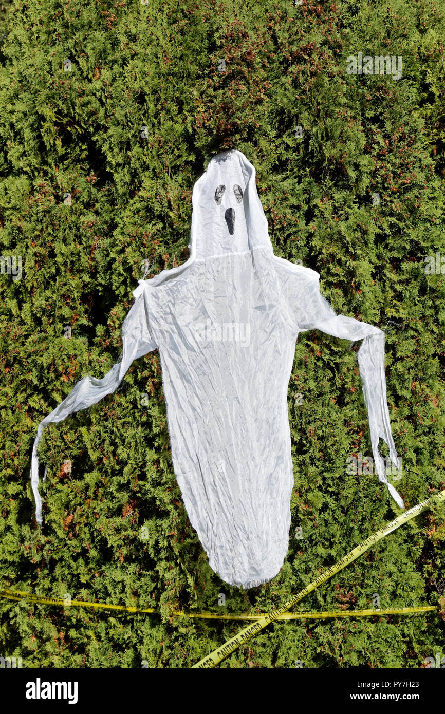 Halloween ghost decorazione pendente da una siepe verde nel giardino di una casa Foto Stock