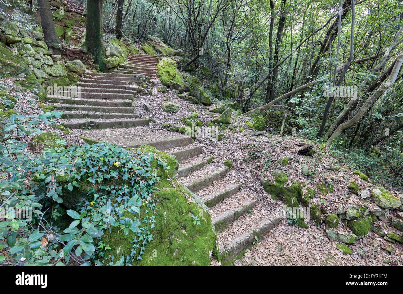 Stairy lungo vie fino a Moscenice, da Moscenicka Draga, Istria, Croazia Foto Stock