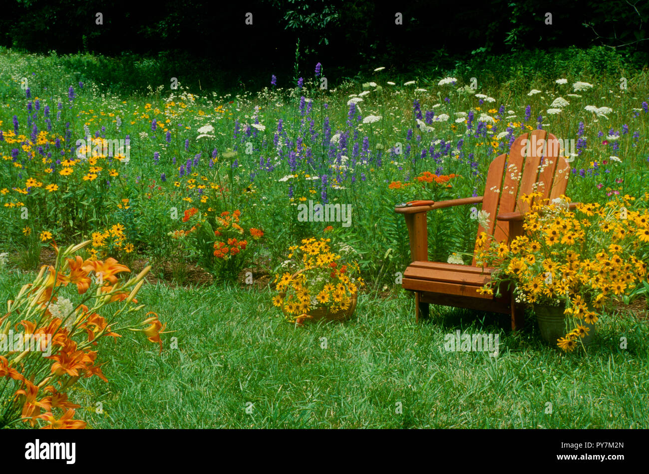 Percorso attraverso il prato con fiori selvaggi con sedia adirondack, Missouri, Stati Uniti d'America Foto Stock