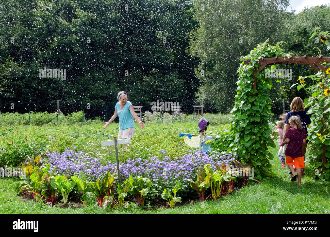Gli sprinkler! In estate in giardino comunità camp, Maine, Stati Uniti d'America Foto Stock