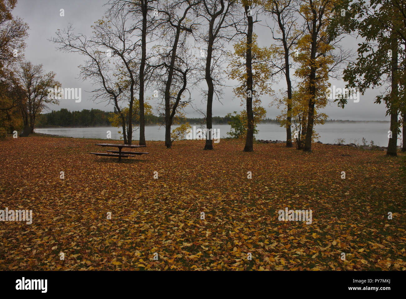 Sul fronte del lago brumoso paesaggio Foto Stock
