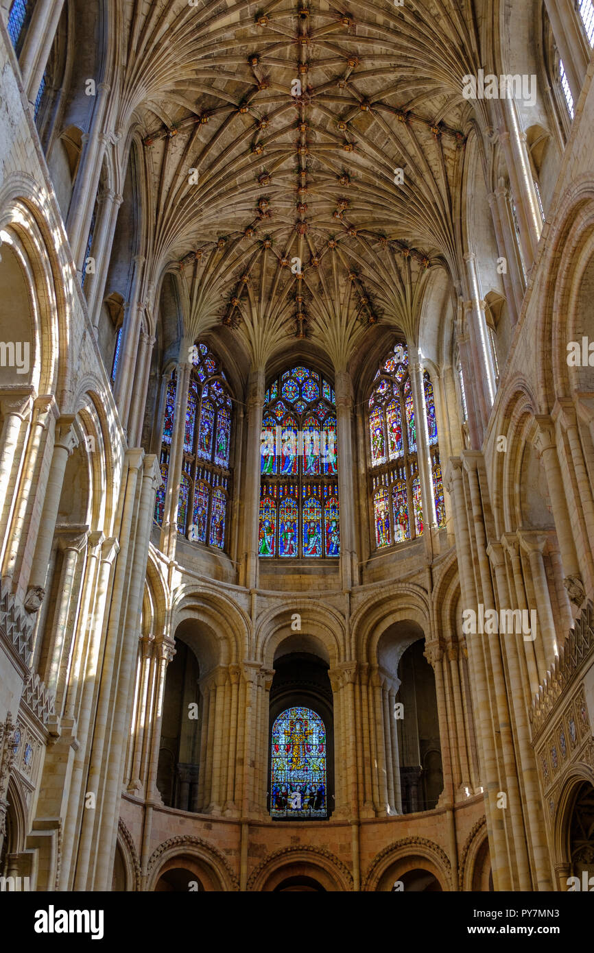 Gothic soffitto a volta, navata e le finestre di vetro macchiate illuminate dalla luce del sole a Norwich Cathedral. Norfolk, Inghilterra, Regno Unito Foto Stock