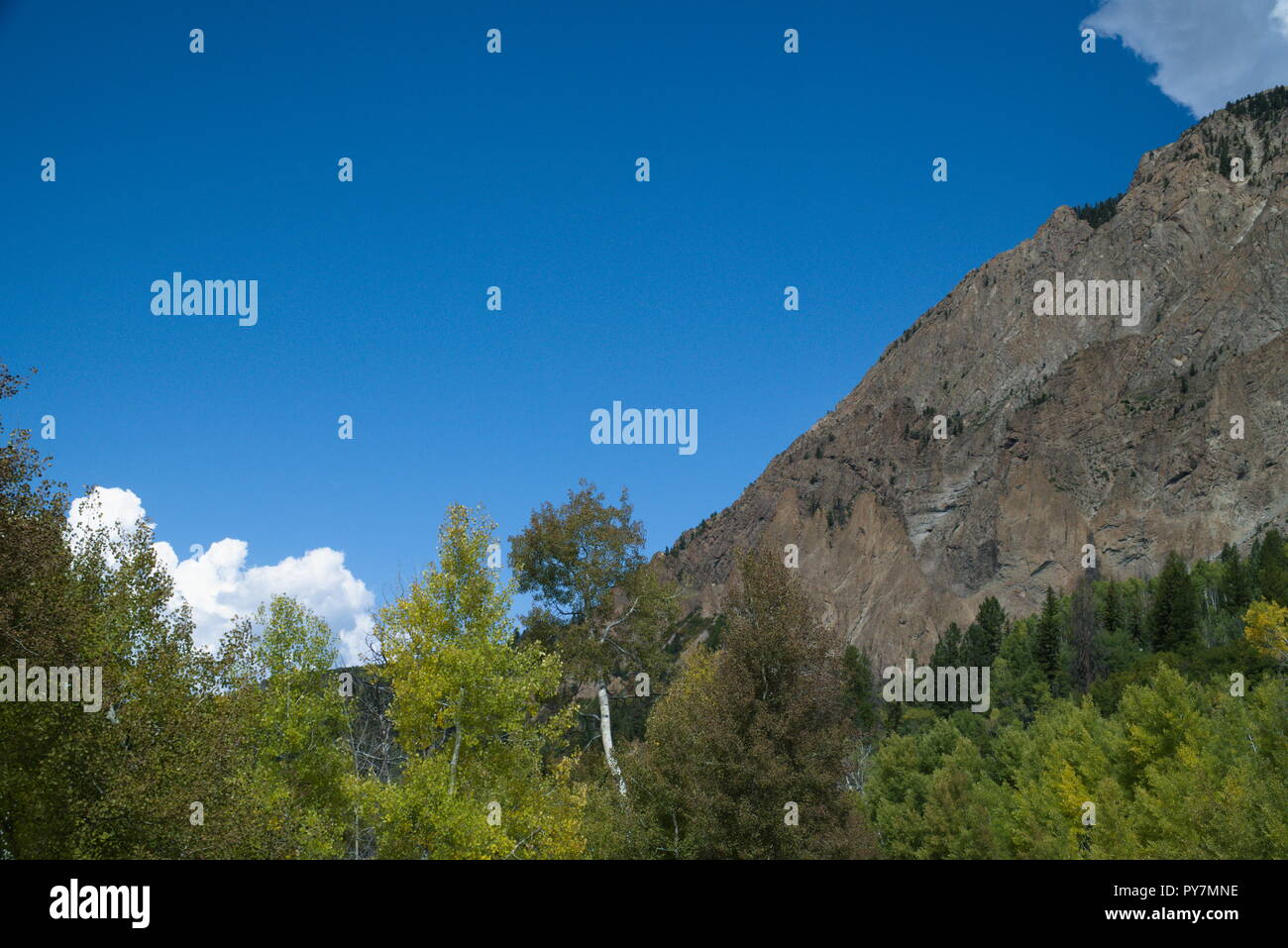 Una montagna e alberi. Il cielo blu con nuvole e abbondanza di vegetazione. Foto Stock