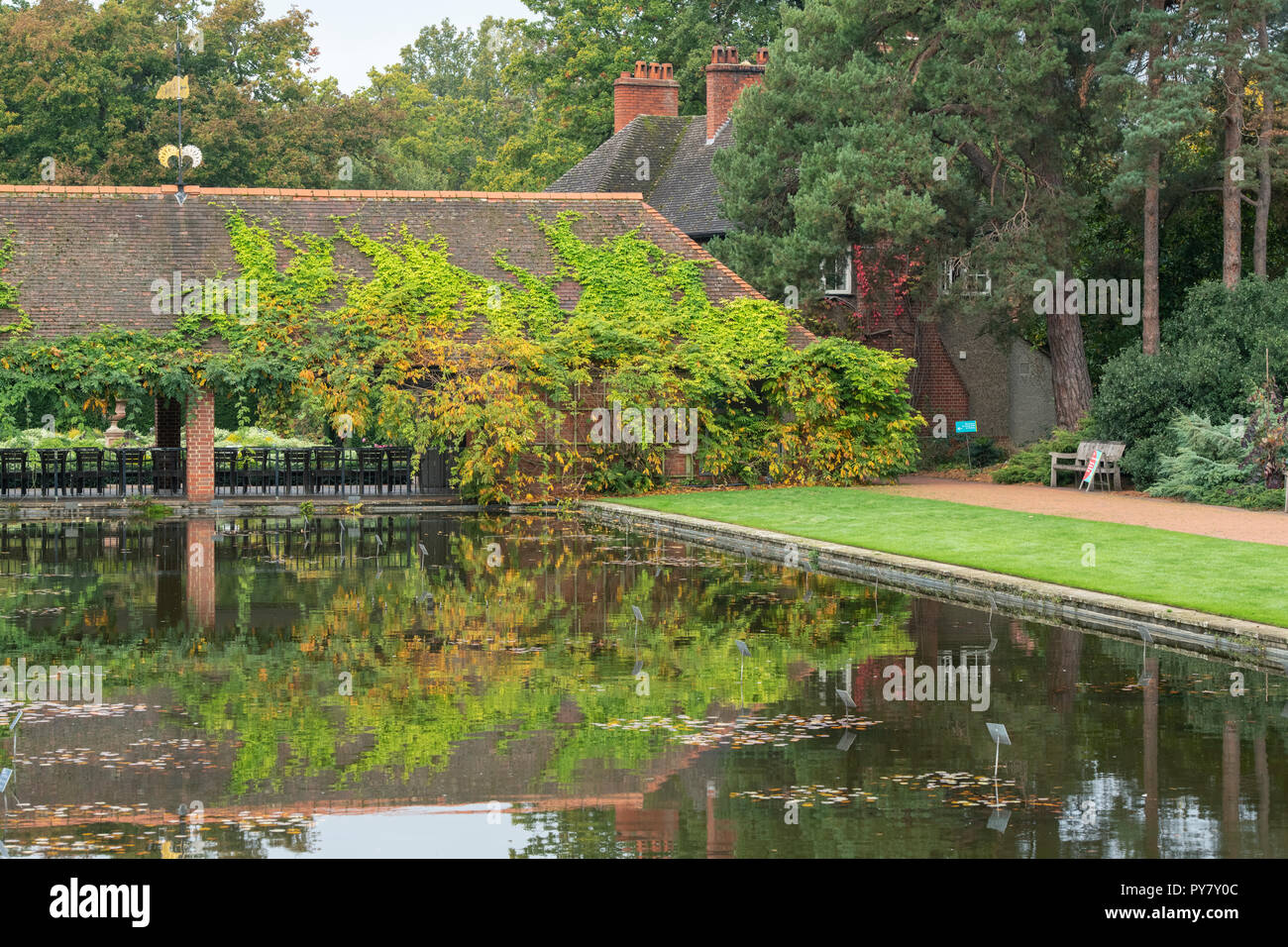In autunno il fogliame di glicine su un edificio che si riflette nello stagno ad RHS Wisley Gardens, Surrey, Inghilterra Foto Stock