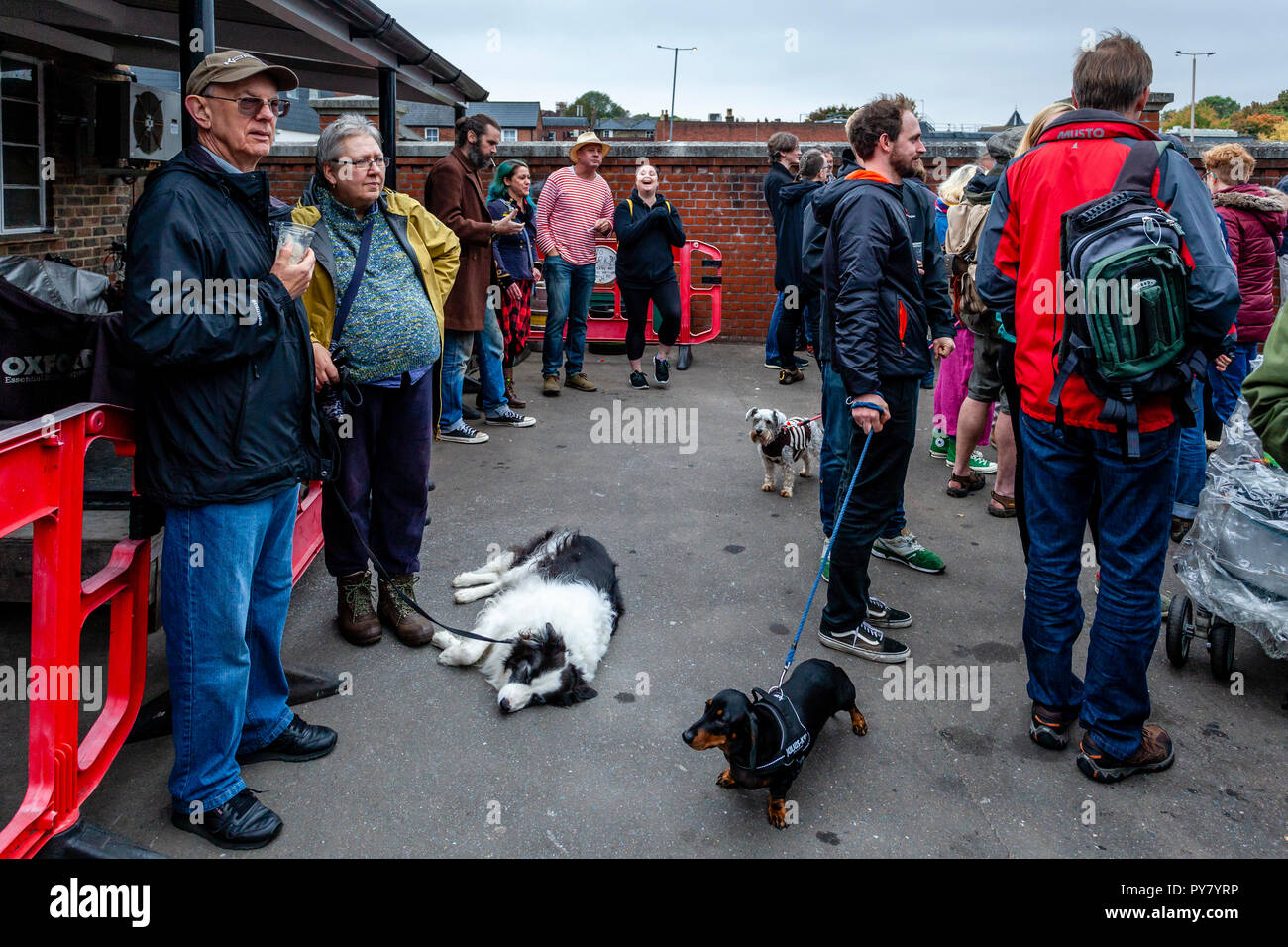 Le persone e i loro animali domestici guarda l'annuale "ancing nel vecchio' evento presso il birrificio Harveys per celebrare il ritorno del 'Winter Warmer' Ale, Lewes, Regno Unito Foto Stock
