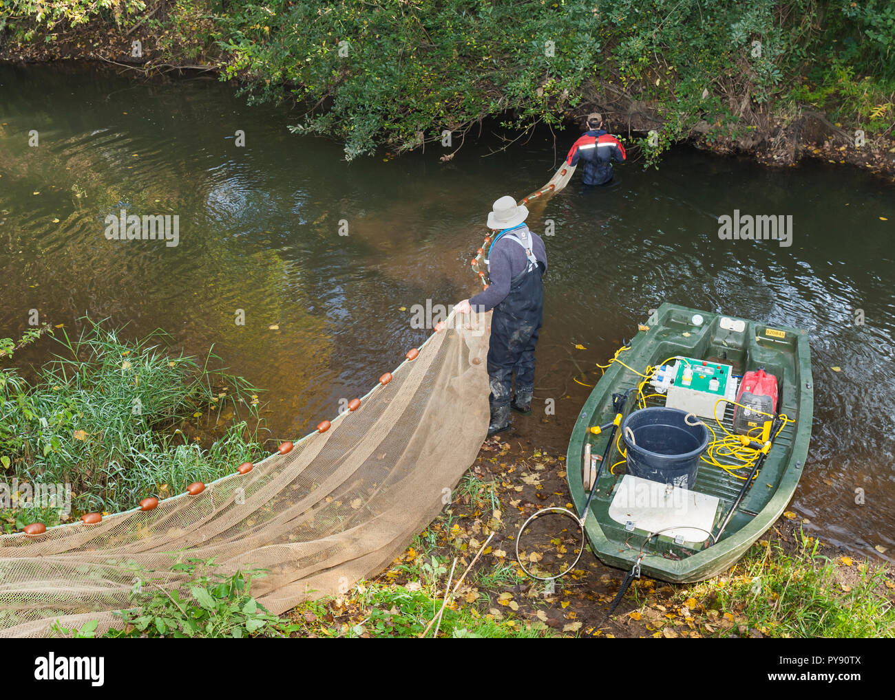 Agenzia per l'ambiente team electrofishing fiume Medway a campione delle popolazioni ittiche e raccogliere dati circa la salute del fiume. Foto Stock