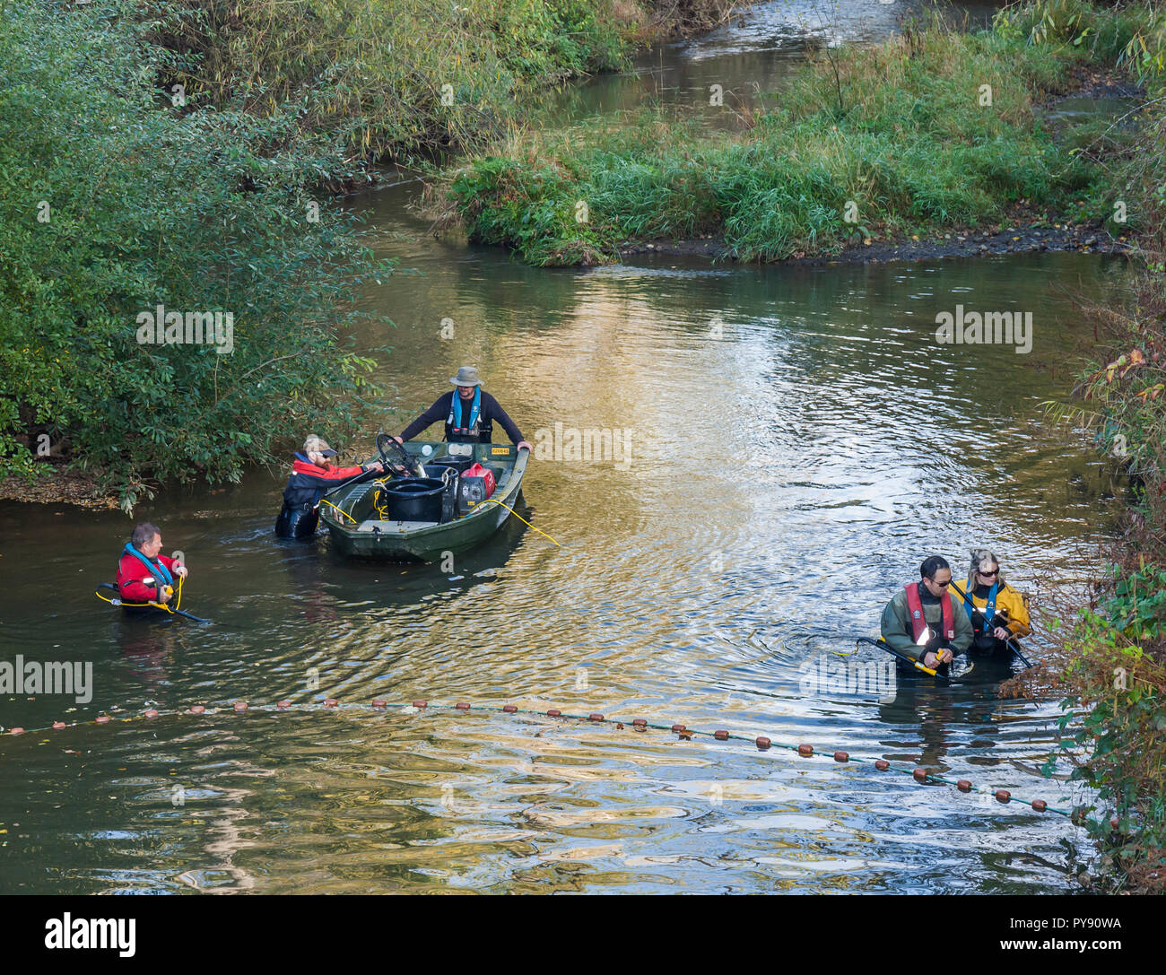 Agenzia per l'ambiente team electrofishing fiume Medway a campione delle popolazioni ittiche e raccogliere dati circa la salute del fiume. Foto Stock